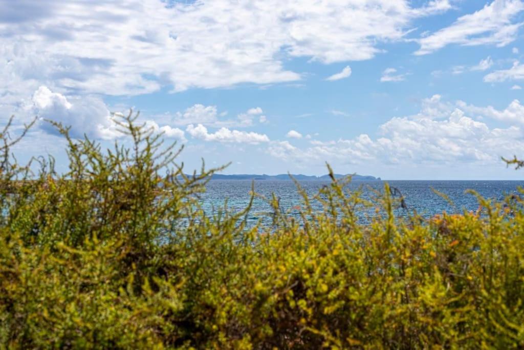 Ferienwohnung M0 Practico Y Sencillo Apartamento A 100 M De Las Mejores Playas De Mallorca Colònia de Sant Jordi Exterior foto